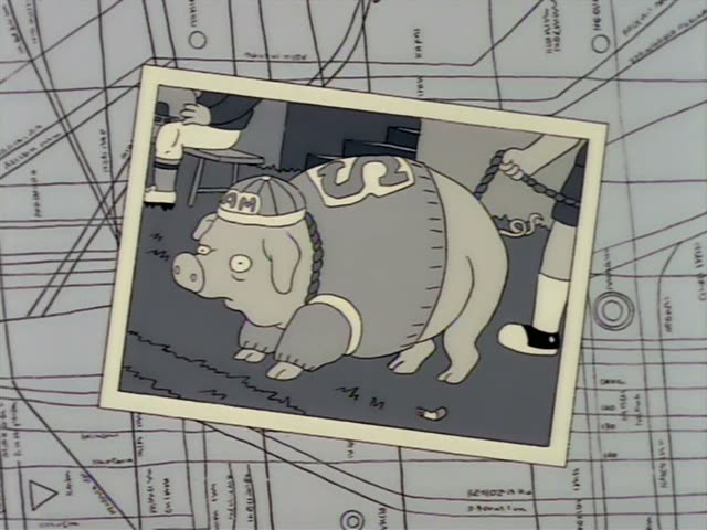 Photographs spread over a street map show a fat pig mascot in a cap and sash, first held on a chain by an arm, then posed…