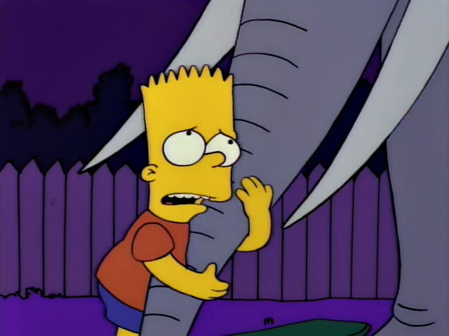 Bart clings to the leg of a large grey elephant beside a purple wooden fence at night, then steps away from it