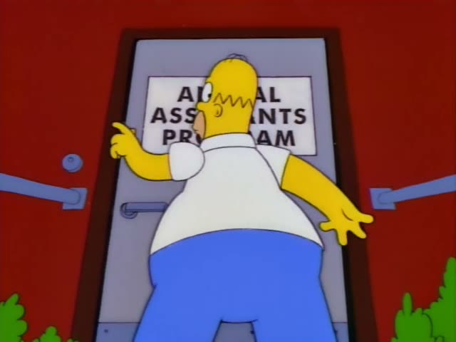 Homer stands at a red-walled door marked "Animal Assistants Program," pointing at the sign, then stumbles back…