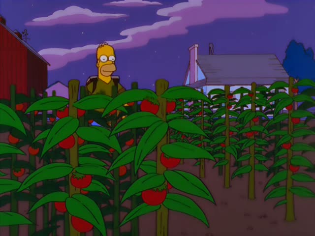 Homer appears among rows of tomato plants at dusk, then crouches in a carrot field under a moonlit purple sky